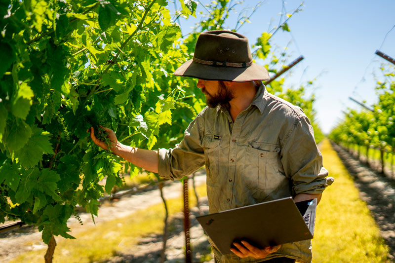 SWAN Systems premier’s agriculture and aquaculture entrepreneurship program