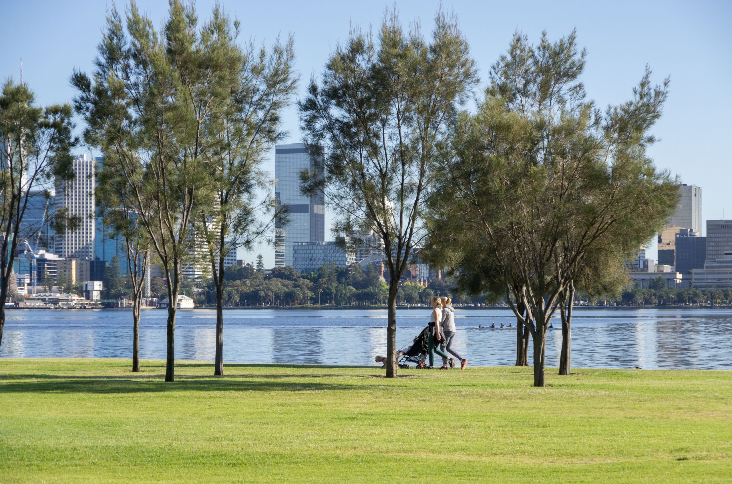 Two ladies in casual clothes, pushing a pram and walking a white poodle by the edge of the river. In the background is a modern city skyline and a river with people rowing in it. In the foreground is green grass.