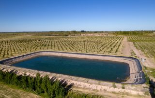 Irrigation dam beside large orchard with evenly planted crop rows under clear sky.