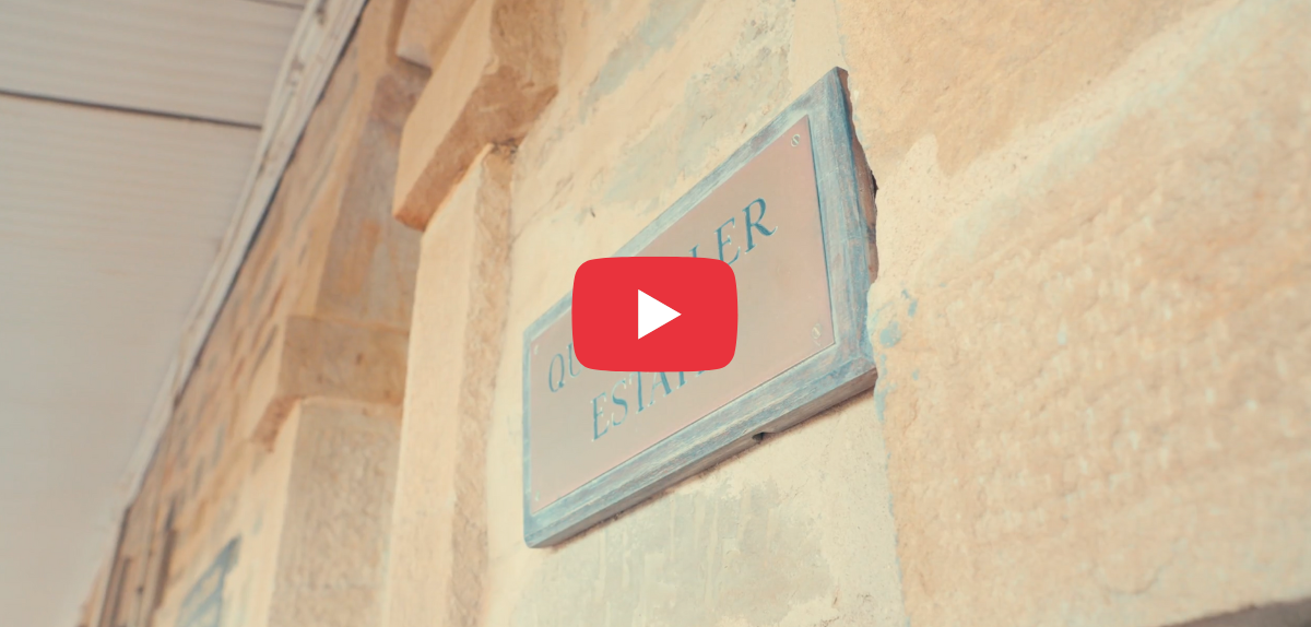 Michael Paxton on Precision Irrigation at Quelltaler Vineyards