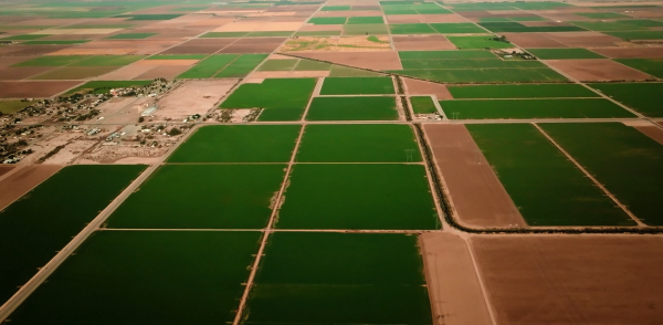 Aerial drone view of Chaffin Farms showing green and brown alfalfa fields, canals, farm buildings and high-voltage power lines.