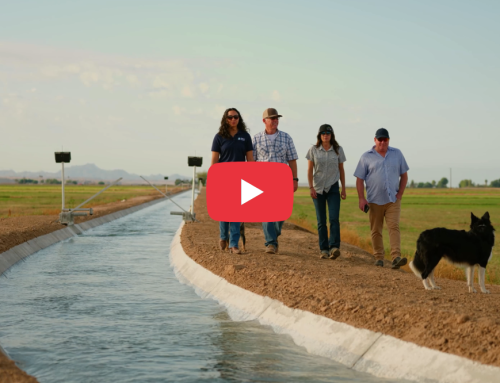 Chaffin Farms, Rubicon Water & SWAN Systems: Advancing Water Efficiency on the Colorado River
