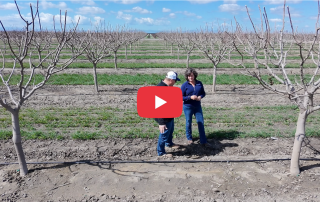 Kevin Ruble and SWAN Systems’ Shannon Rinkenberger examining trees and irrigation lines in a dormant orchard at Tachi Farms. Image has a YouTube icon overlaid on it.