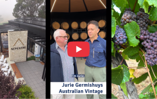 Composite image showing Nepenthe winery in the Adelaide Hills, Jurie Germishuys from Australian Vintage speaking with SWAN Systems, and close-up grapes on the vine.