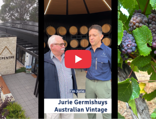 Irrigation at Scale: Australian Vintage at Nepenthe