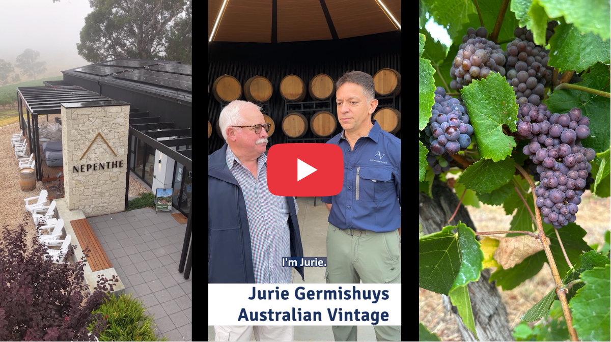 Irrigation at Scale: Australian Vintage at Nepenthe