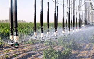 Irrigation sprinklers applying water to a row crop field, with visible water pooling on the soil surface beneath the system.