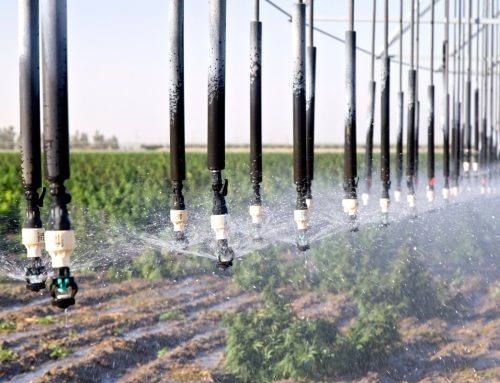 Soil as a buffer, not a container