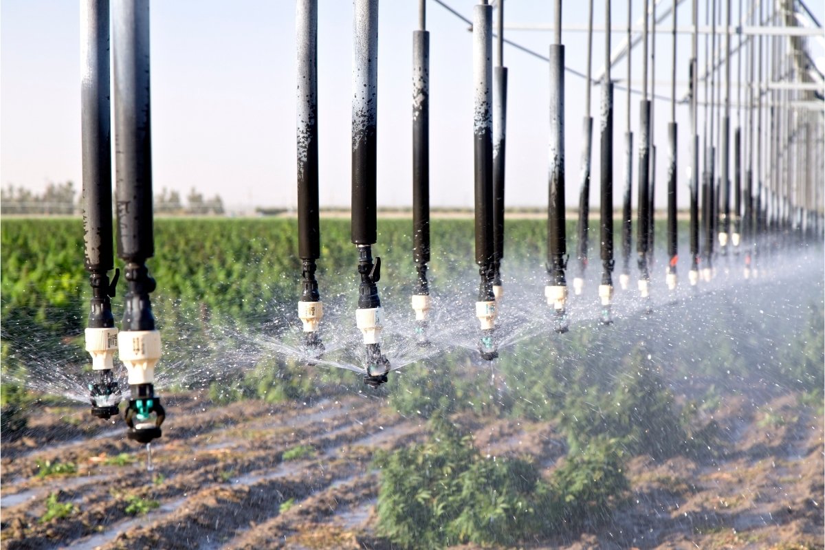 Soil as a buffer, not a container