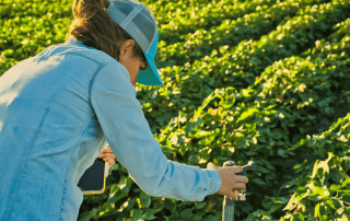 Farmer checking a sprinkler head in a green crop field while holding a tablet