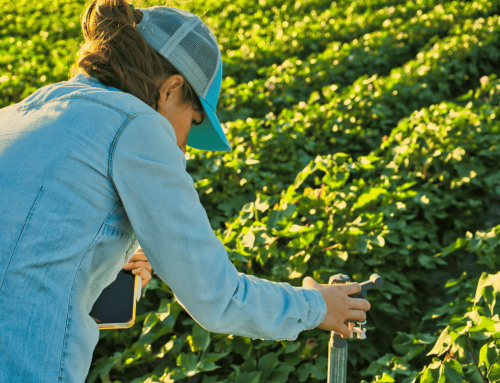 Human effort is part of the system