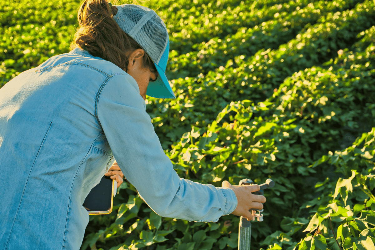 Human effort is part of the system